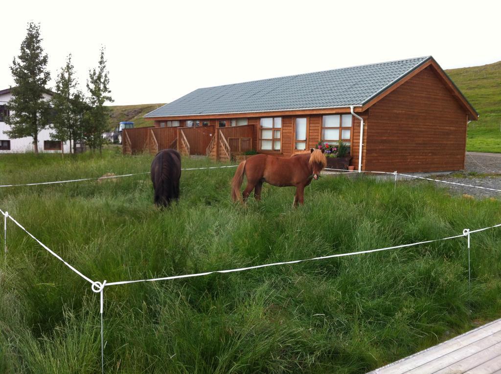 Midsitja Villa Varmahlíð Exteriör bild