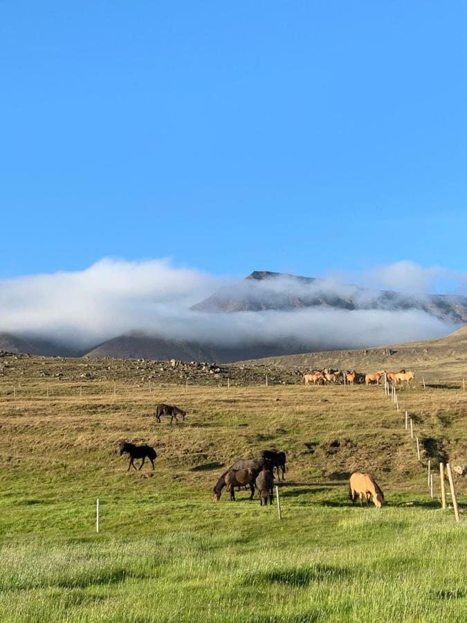 Midsitja Villa Varmahlíð Exteriör bild
